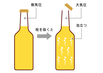 6-3. キャビテーションを起こさないためには | 基礎講座 | 技術情報