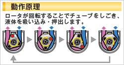 動作原理 ロータが回転することでチューブをしごき、液体を吸い込み・押出します。